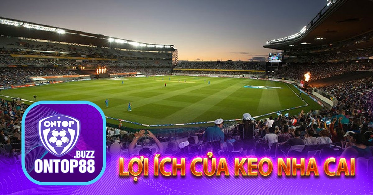 Lợi ích của keo nha cai