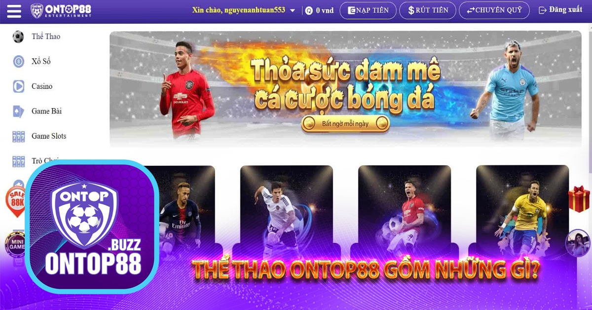 Thể thao ontop88 gồm những chuyên mục gì?