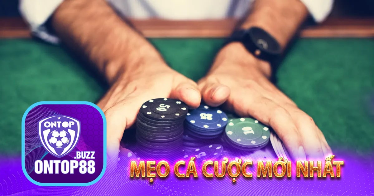 Mẹo cá cược mới nhất